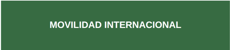 Movilidad Internacional